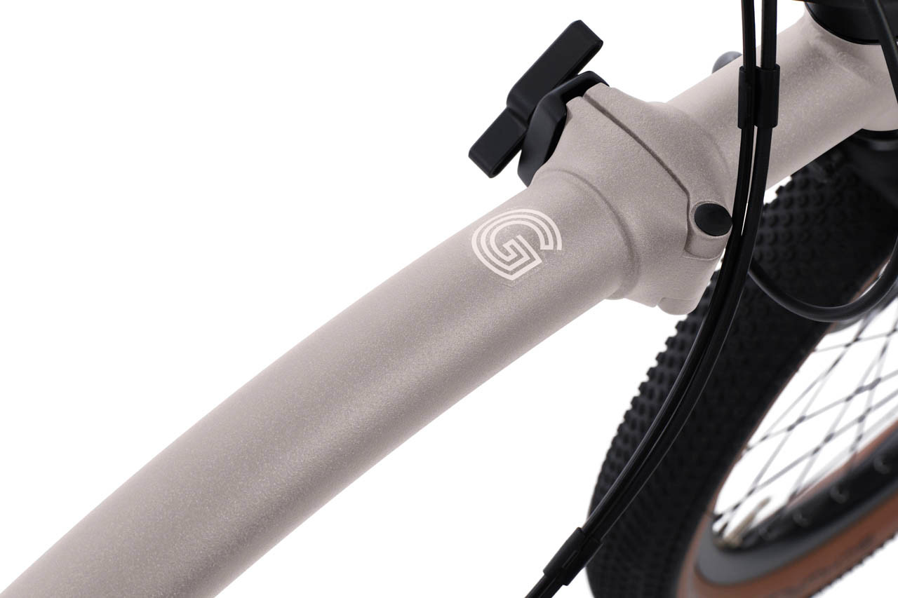 G Line with Roller Frame and Dynamo Lighting - 8-velocidades