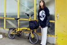 Yellow low