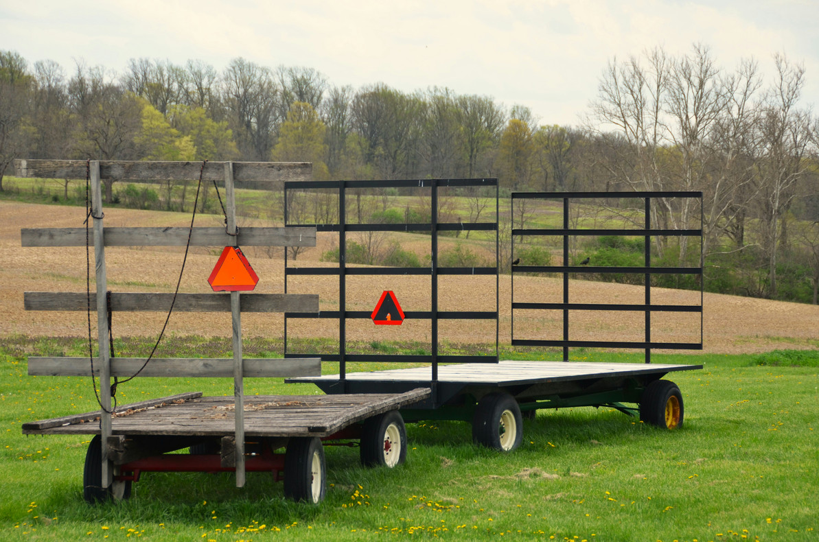 Why Heavy-Duty Scale Platforms Are Essential for Animal Safety and Comfort