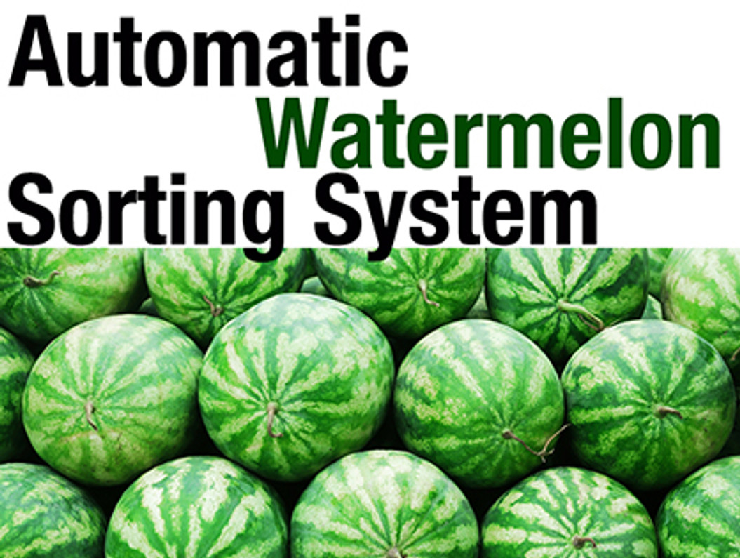 Watermelon Sorter Weighing System