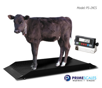 US-LS5520 The Livestock Platform Scale 500 lb - USA Measurements