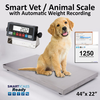 Livestock Vet Scale Veterinary Scale 43" X 20.5" Sheep LCD 1100LBS Athlete Scale 