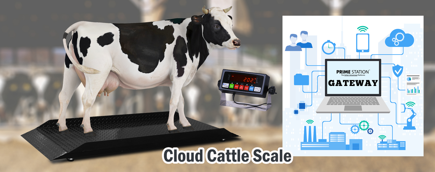 LB Series Load Bars Livestock Scales