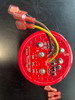 LED TAILLIGHT BULB 6V OR 12V - 63248654131