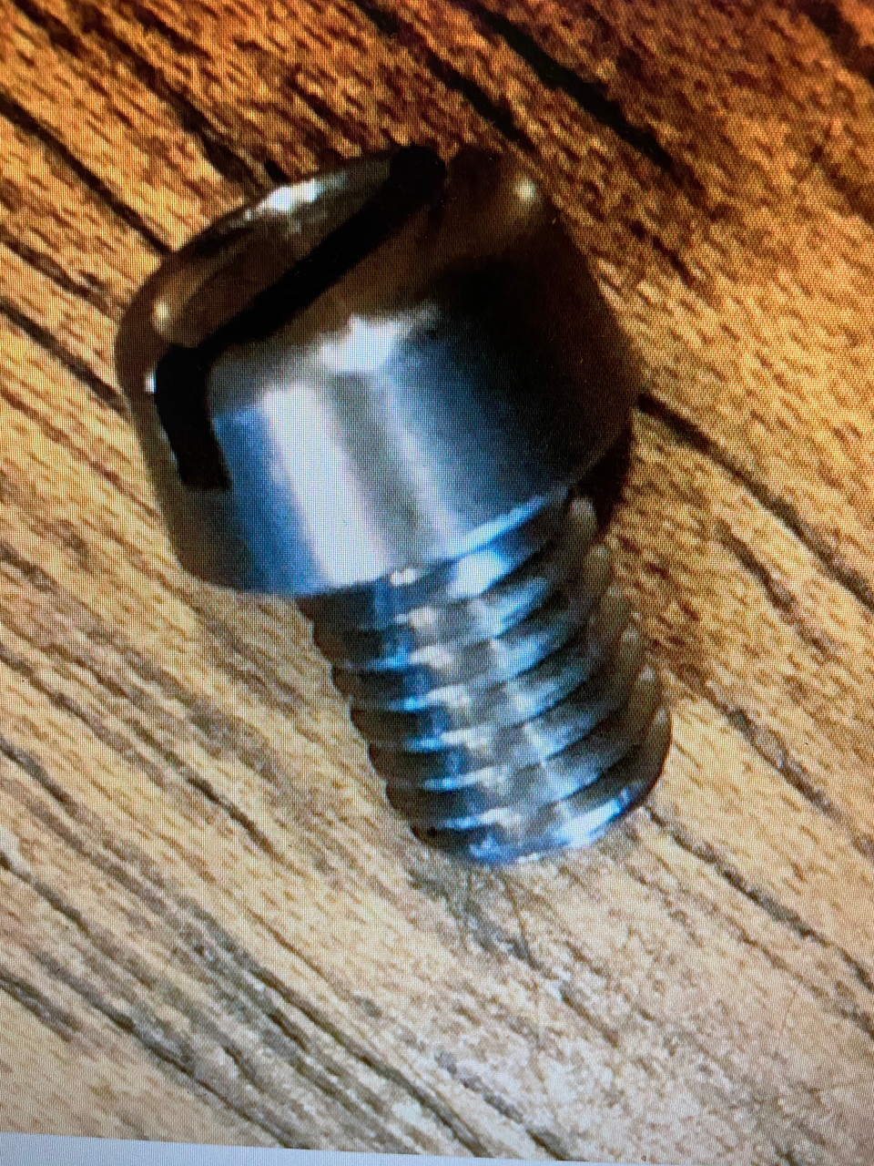 S.S KLAXON HORN SCREW CORRECT SHAPE - 61338046030-1