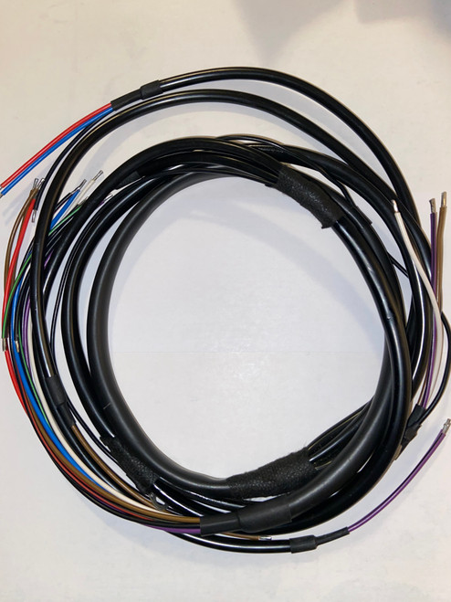 R51/2 MAIN WIRING HARNESS - 61118066025