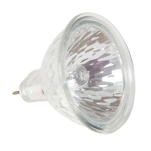 81542 Color Halogen Bulb
