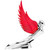 48109 Flying Goddess WindRider Wing Series