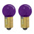 79134 1895 Miniature Light Bulb