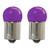 79154 97 Miniature Light Bulb