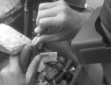 Durable Alternative Wedding Rings for Active Grooms