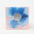 Capri Eau De Parfum 30 ml