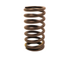 VALVE SPRING (005557570R1)