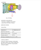 SERVICE MANUAL FOR 2545 SHUTTLE OPEN AND CAB VERSION***DIGITAL DOWNLOAD***