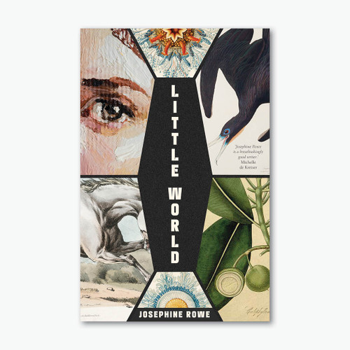 Little World: A Novel