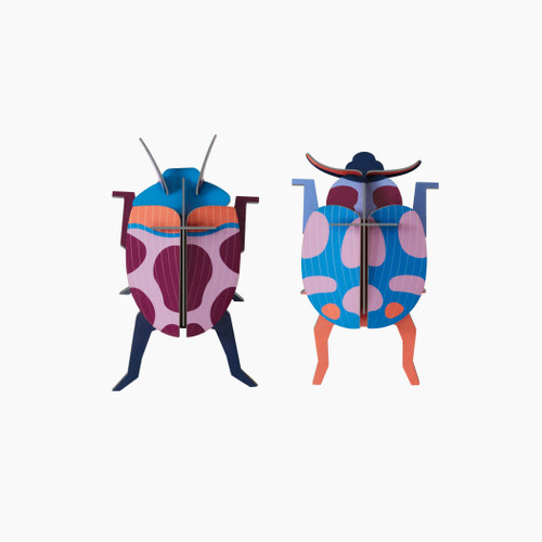 Coccinelle Rouge Beetles B7 Wall Art