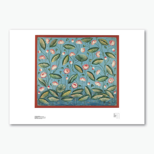 Lotus ponds of the Yamuna Poster Print