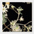 Cressida Campbell Flannel Flowers Darkness Card Pack
