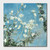 Cressida Campbell Flannel Flowers Night and Day Card Pack