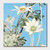 Cressida Campbell Flannel Flowers Sky Card Pack