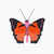 Large Fox Butterfly B7 Wall Art