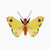 Luzerne Butterfly B7 Wall Art
