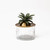 Jungla Ananas Trinket Jar
