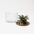 Jungla Ananas Trinket Jar