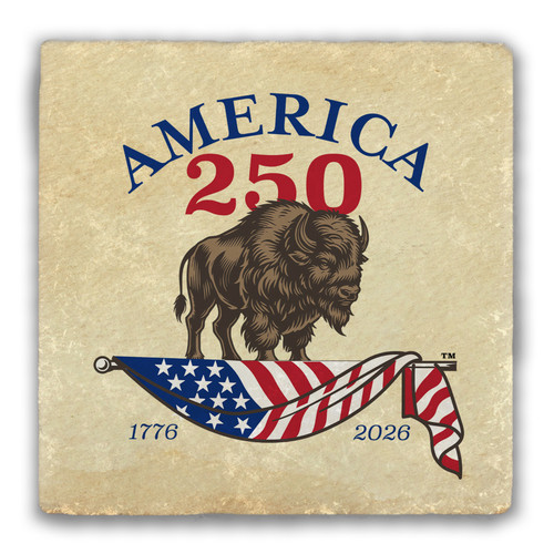 America 250 Buffalo Tumbled Stone Coaster
