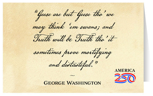 "Geese are but Geese"  Greeting Card