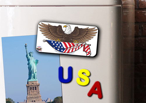 Eagle and Flag Magnet