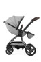 Glacier egg3  Stroller