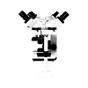 40X-1600X Five Head Multiview Teaching Compound Microscope, Binocular, Halogen Light