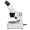 10X/30X Widefield Stereo Microscope, Binocular, Track Stand, Halogen Top and Bottom Light, Bright Field