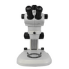 8X-50X Widefield Zoom Stereo Microscope, Trinocular, Track Stand (Track Length 280mm) LED Top and Bottom Light, Fan Shaped Base