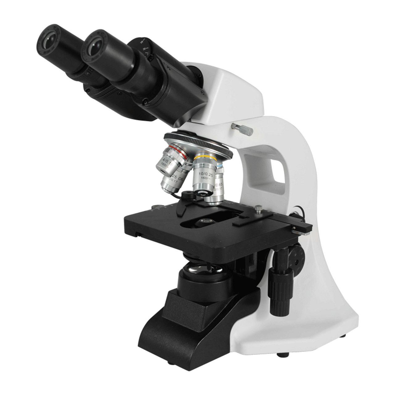 compound light microscope images