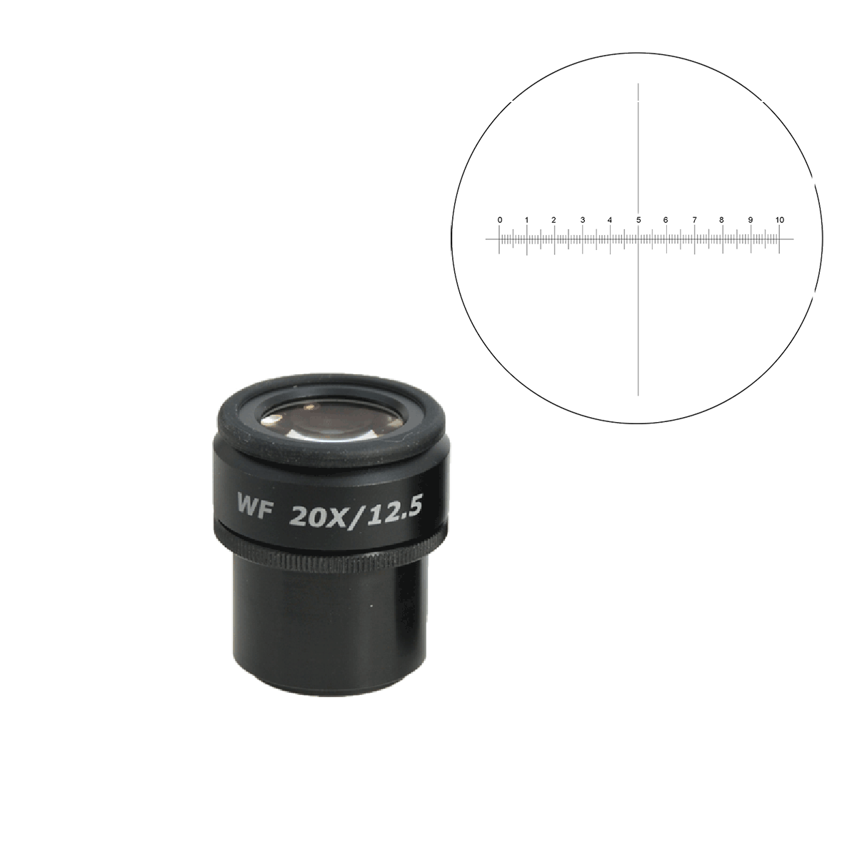 WF 20X Widefield Focusable Microscope Eyepiece with Reticle, XAxis