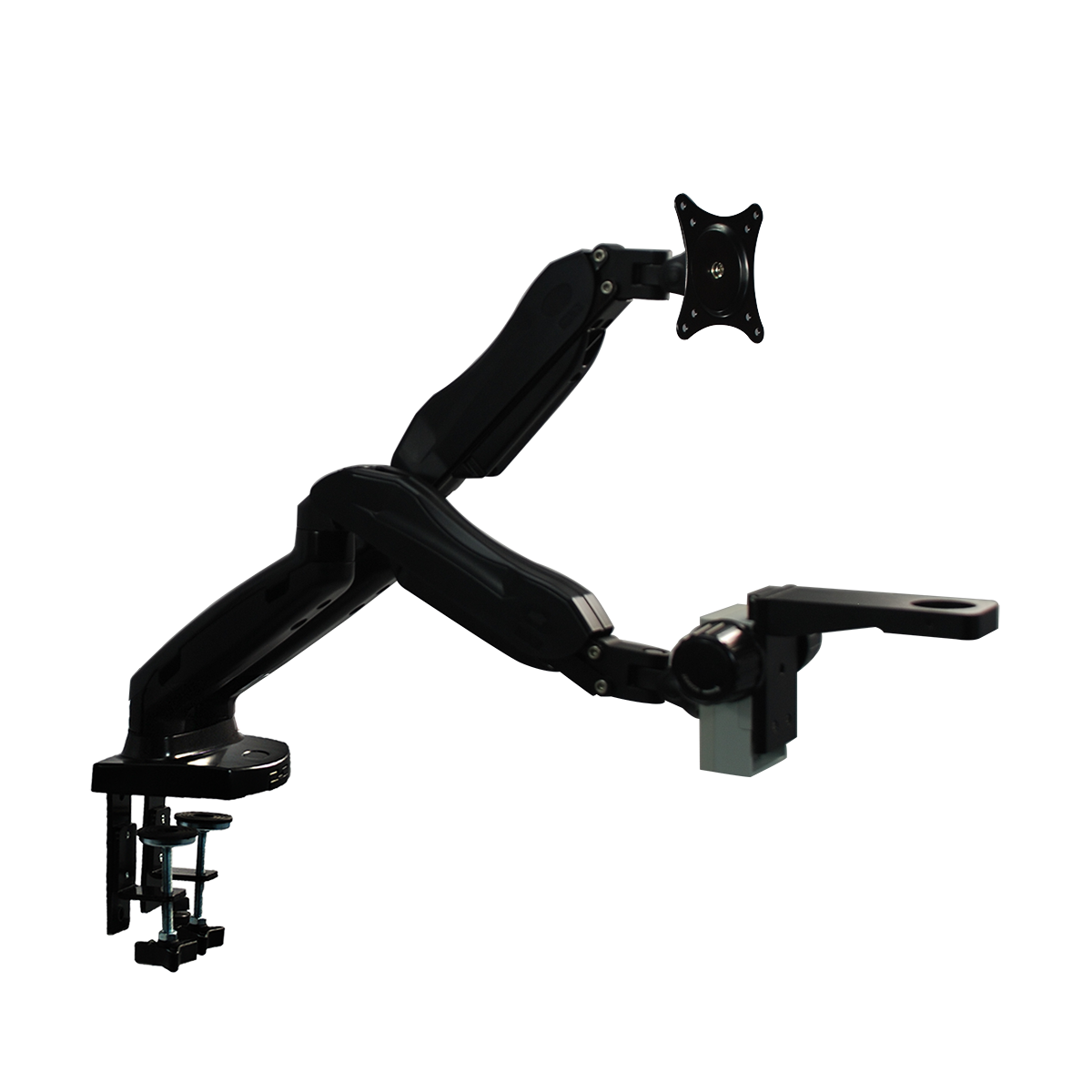 Dual Pneumatic Articulating Arm Clamp Stand for Stereo Microscopes ...