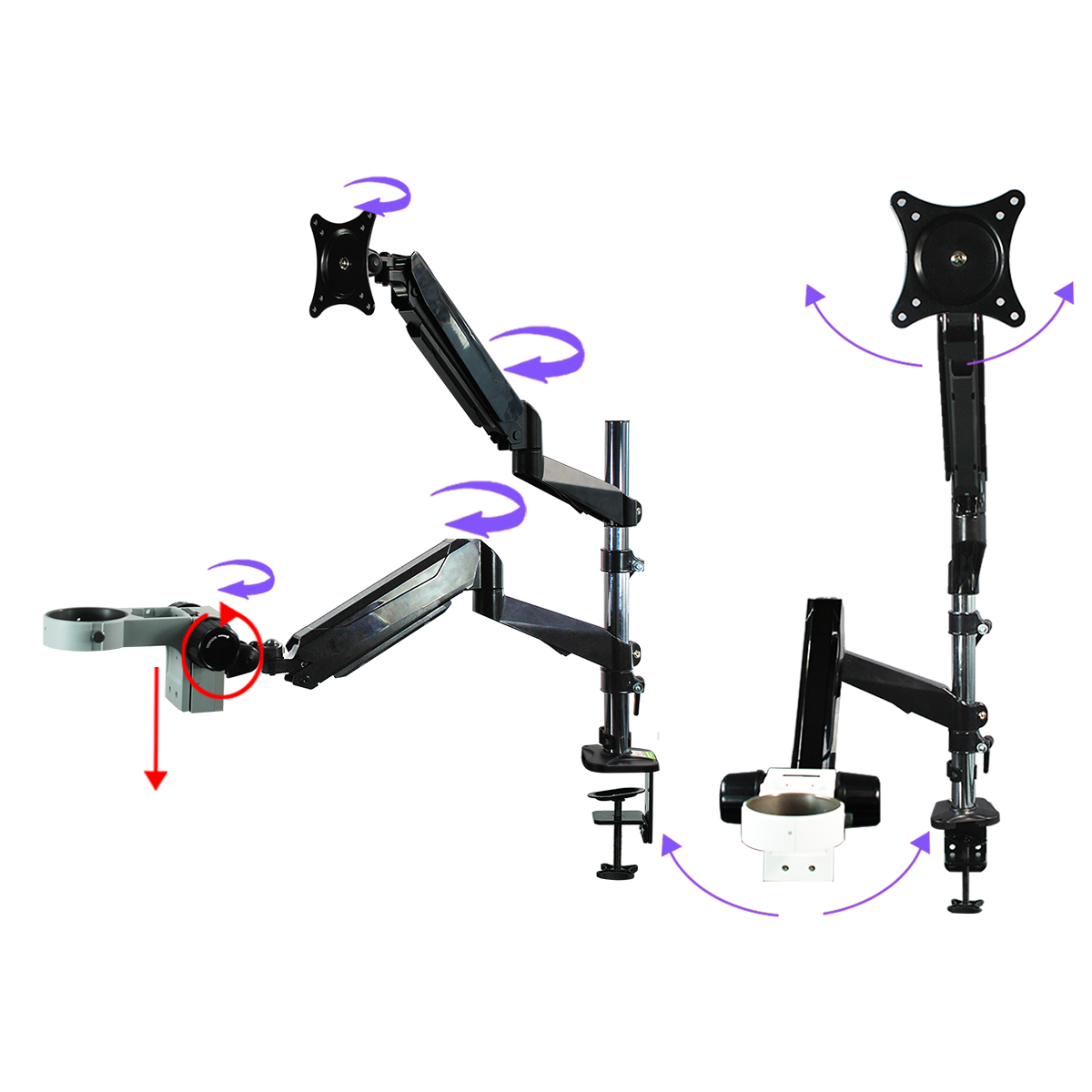 Dual Pneumatic Articulating Arm Post Clamp Stand for Stereo Microscopes ...