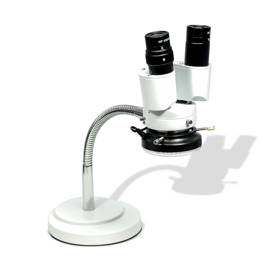 8X LED Light Gooseneck Stand 8X Binocular Fixed Power Stereo Microscope FS02050125