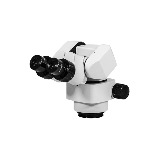 3.44X/6.25X/10.94X/18.75X/34.38X 0-90° Binocular Parallel Multiple Power Microscope Body SM51031141