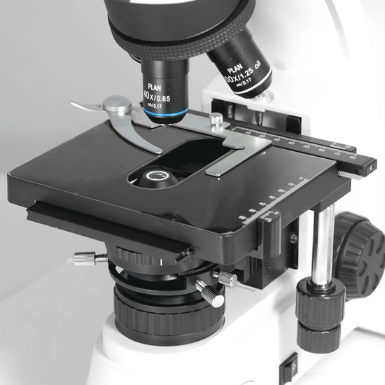 40X-1000X Biological Compound Laboratory Microscope, Binocular, Halogen Light, Adjustable Eyepieces