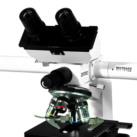 40X-1600X Five Head Multiview Teaching Compound Microscope, Binocular, Halogen Light