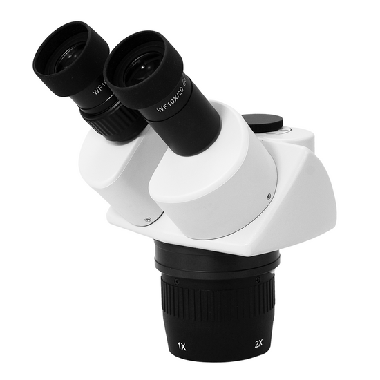 10X/20X Dual Power Stereo Microscope Head, Trinocular, Focusable Eyepiece FS05031131