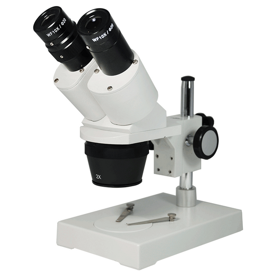 10X/20X Widefield Stereo Microscope, Binocular, Post Stand (Height 155mm) Fixed Head