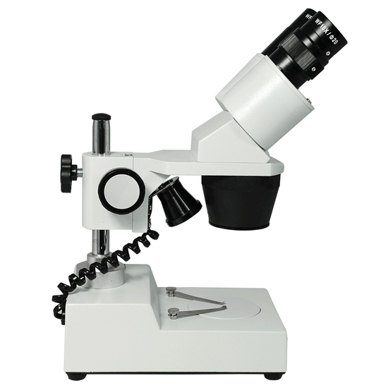 20X/40X Widefield Stereo Microscope, Binocular, Post Stand, LED Top Light (Fixed Head)