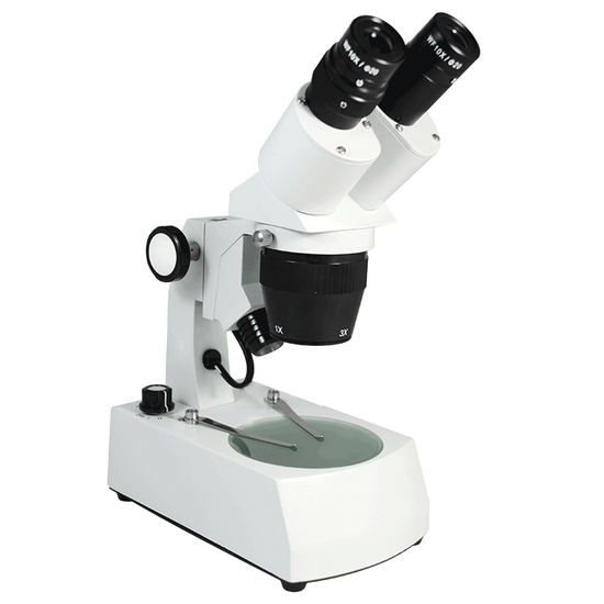 10X/30X Widefield Stereo Microscope, Binocular, Track Stand, Halogen Top and Bottom Light, Bright Field