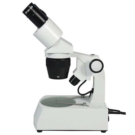 20X/40X Widefield Stereo Microscope, Binocular, Track Stand, Halogen Top and Bottom Light, Bright Field