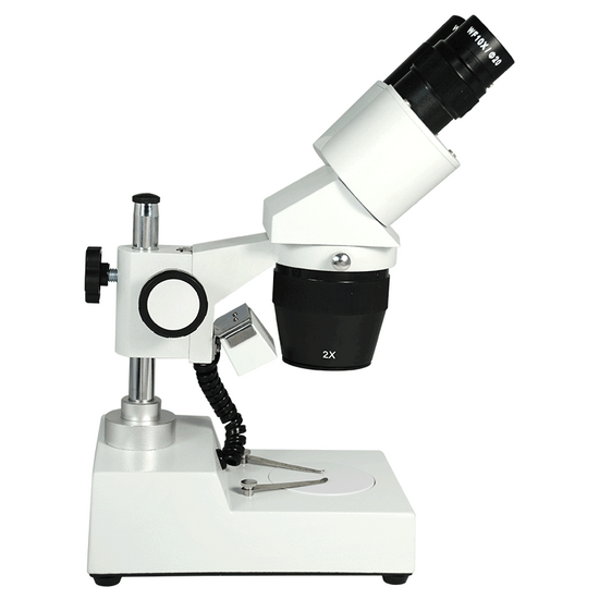 20X/40X Widefield Stereo Microscope, Binocular, Post Stand, LED Top Light (360° Rotatable Head)