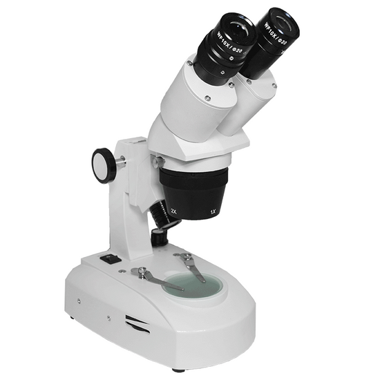 10X/20X Widefield Stereo Microscope, Binocular, Track Stand, LED Top and Bottom Light, Bright Field